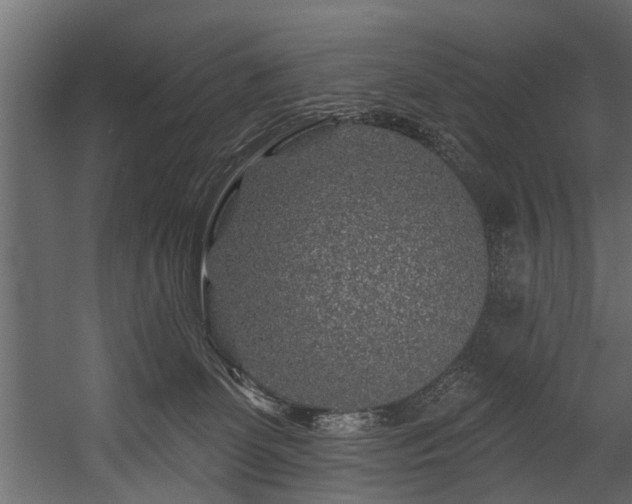 X0000054460131200508011511