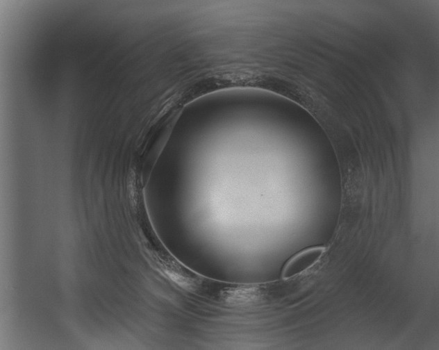 X0000054460132200508011511