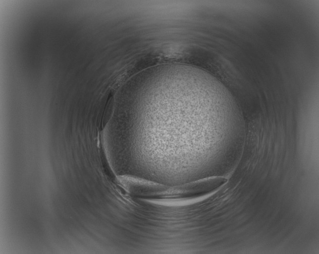 X0000054460135200508011511