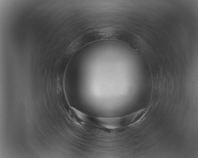 X0000054460136200508011511