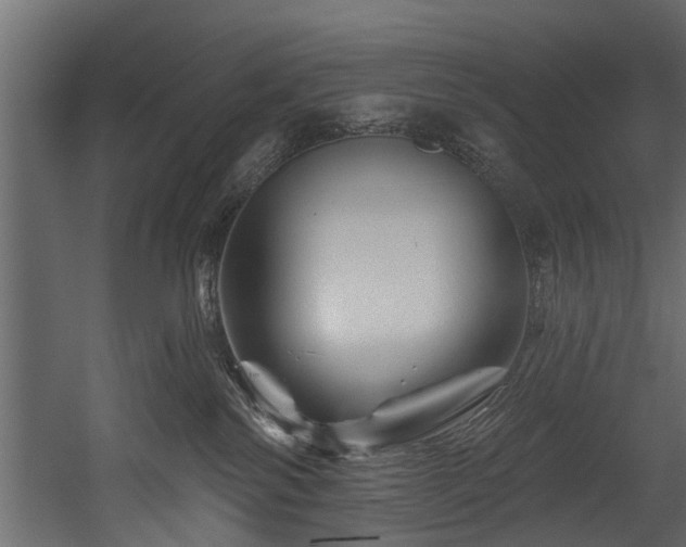 X0000054460138200508011511