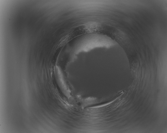 X0000054460139200508011511