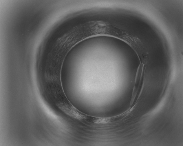 X0000054460142200508011511