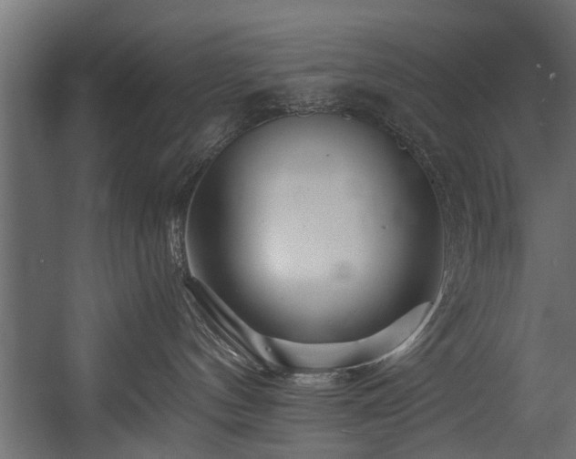 X0000054460144200508011511