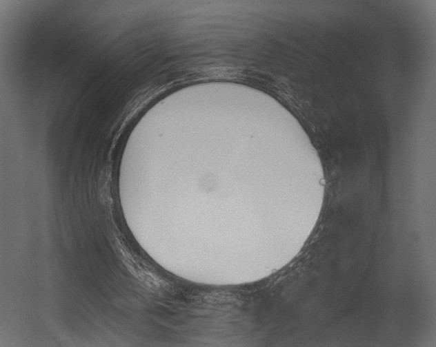 X0000054460146200508011510