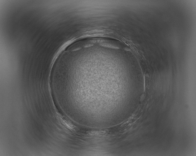 X0000054460147200508011510