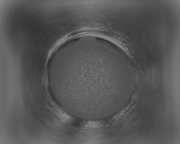 X0000054460149200508011510