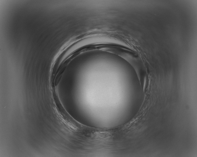 X0000054460150200508011511