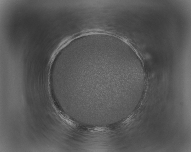 X0000054460151200508011511