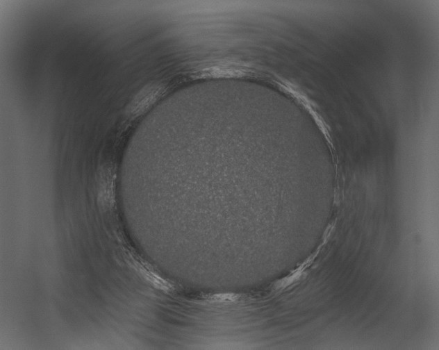 X0000054460153200508011511