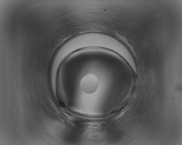 X0000054460154200508011511