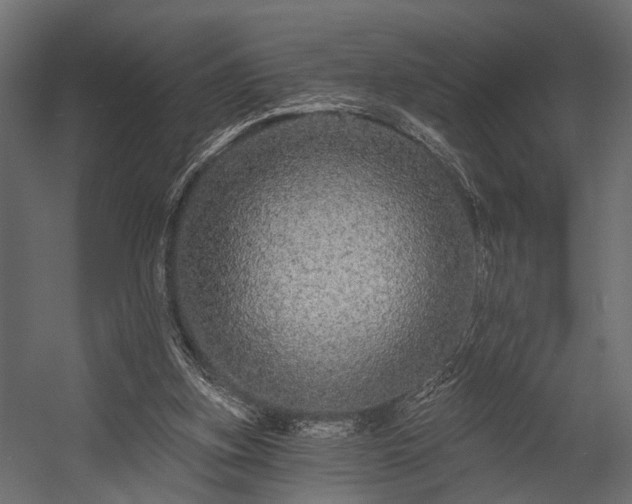 X0000054460155200508011511