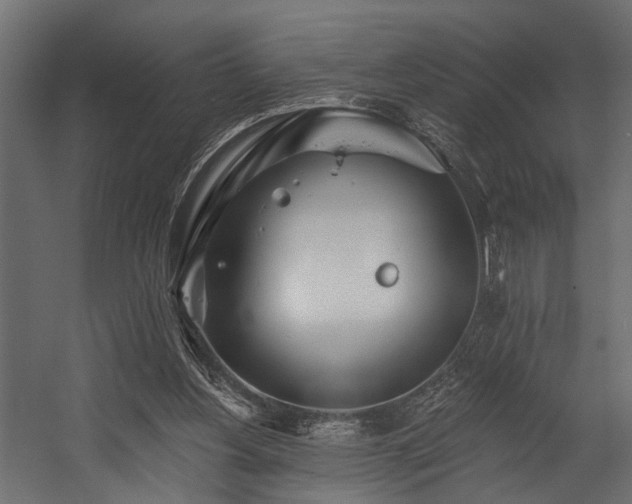 X0000054460156200508011511