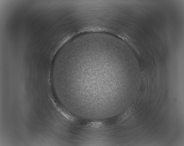 X0000054460159200508011511