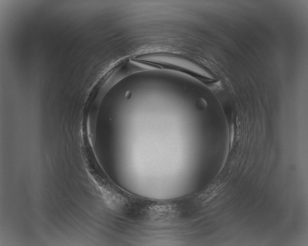 X0000054460160200508011511