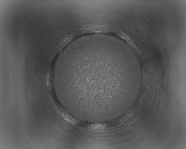 X0000054460161200508011511