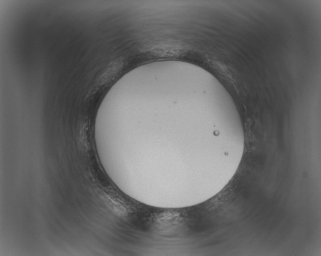 X0000054460162200508011511