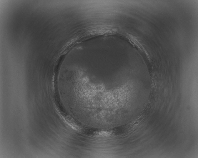 X0000054460163200508011511