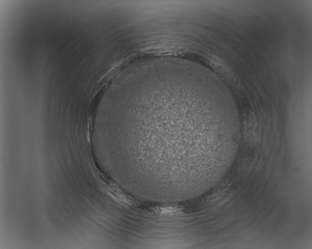 X0000054460165200508011511