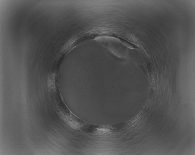 X0000054460167200508011511