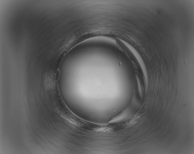 X0000054460168200508011511