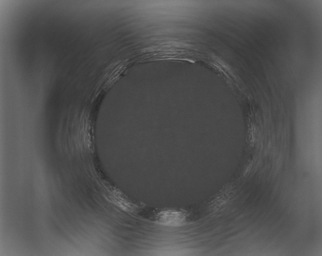 X0000054460169200508011511