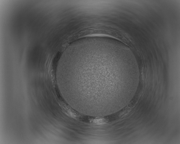 X0000054460173200508011511