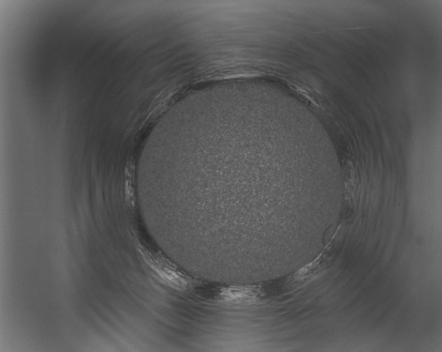 X0000054460175200508011511