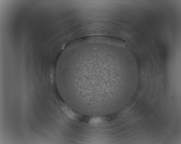 X0000054460177200508011511