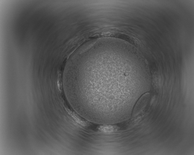 X0000054460181200508011511