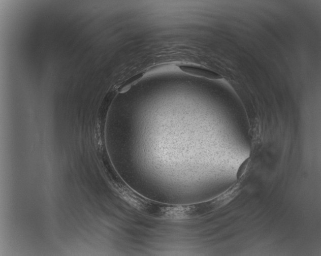 X0000054460182200508011511