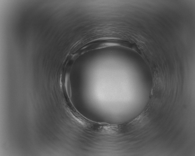 X0000054460188200508011511