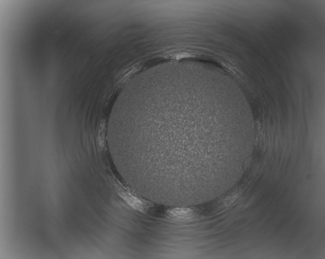 X0000054460189200508011511