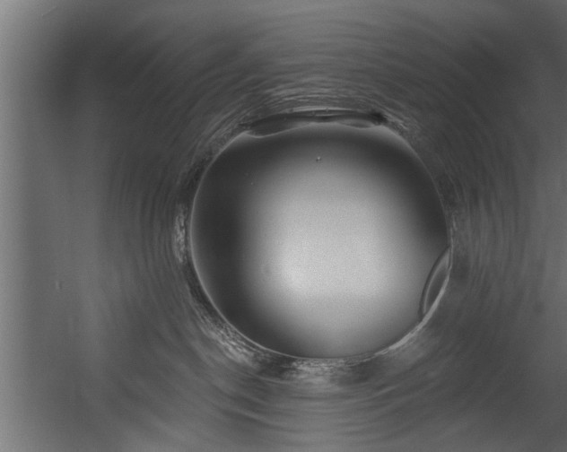 X0000054460190200508011511