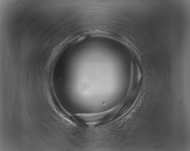 X0000054460193200508011510