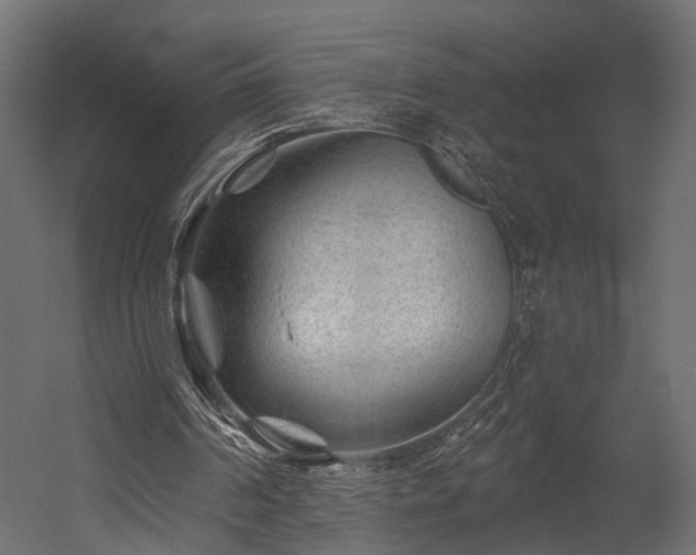 X0000054460194200508011510