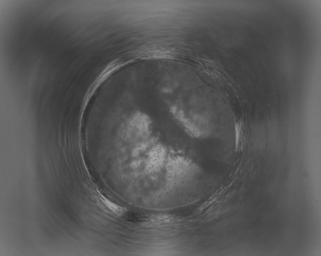 X0000054460195200508011510