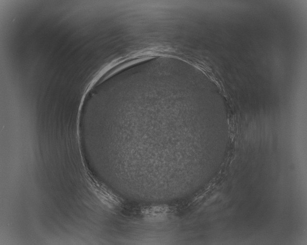 X0000054460196200508011510