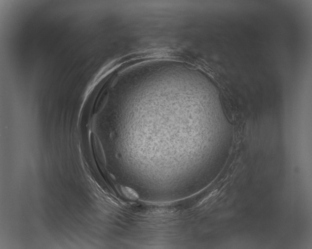 X0000054460198200508011510