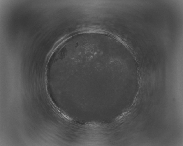 X0000054460199200508011510