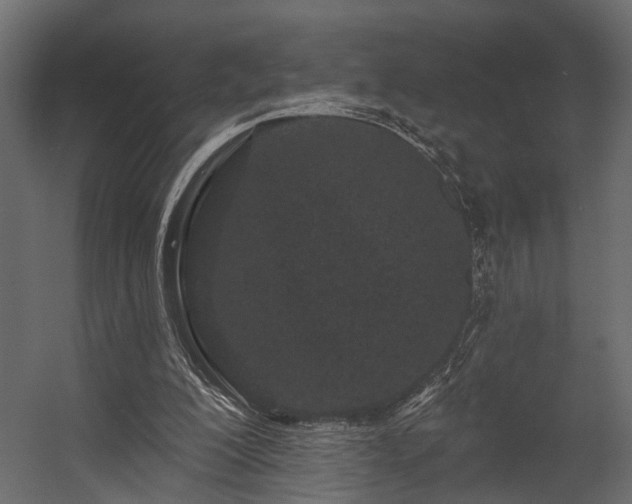 X0000054460200200508011510