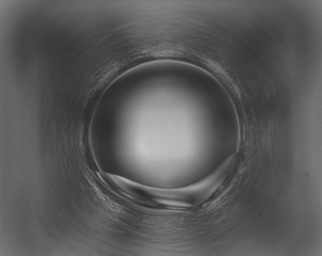 X0000054460201200508011510