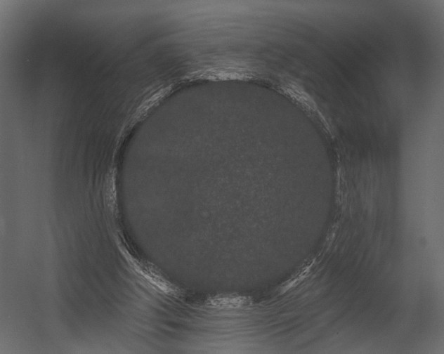 X0000054460202200508011510