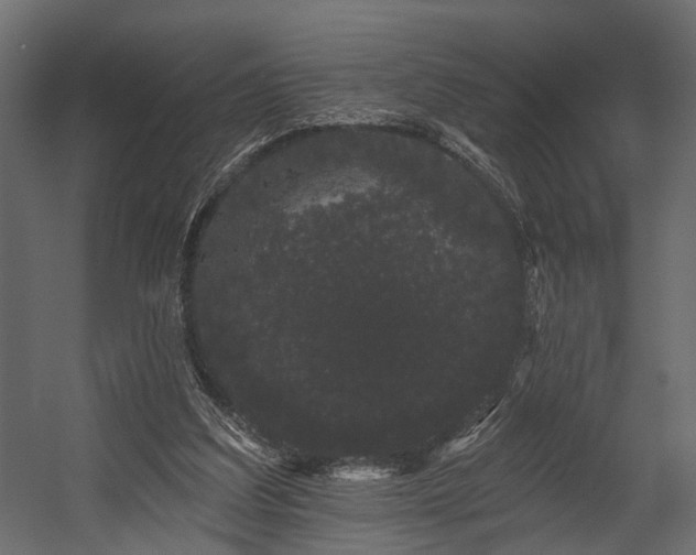 X0000054460203200508011510