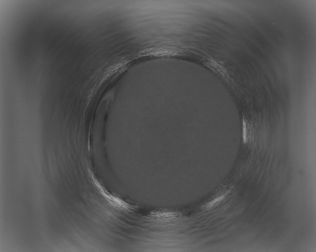 X0000054460205200508011510