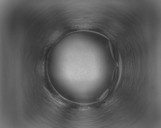 X0000054460206200508011510