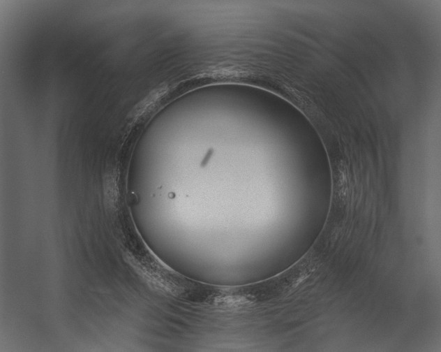 X0000054460208200508011510