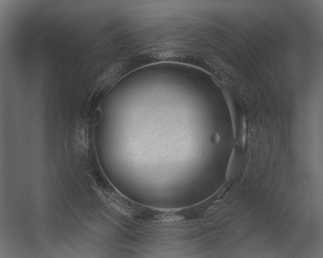 X0000054460210200508011510