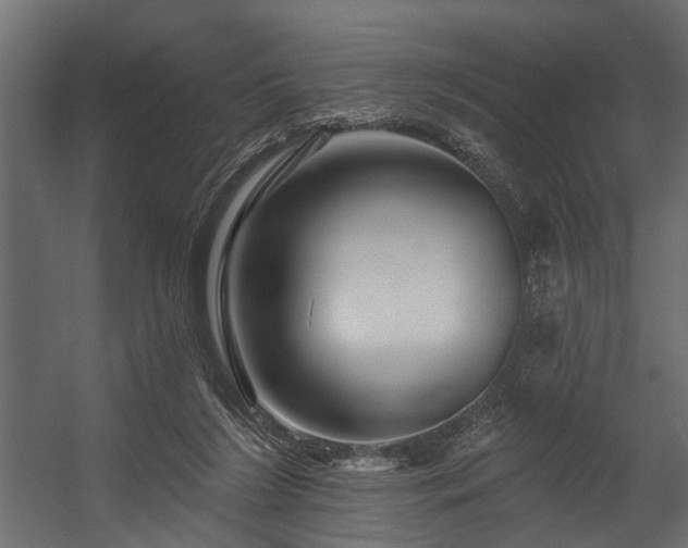 X0000054460212200508011510