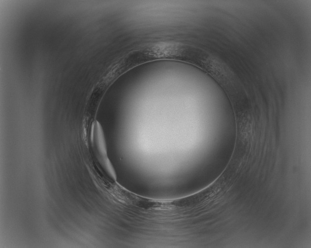 X0000054460214200508011510